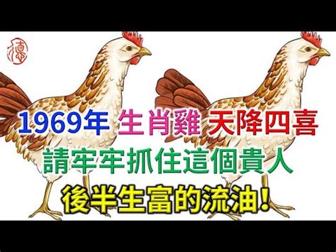 1969屬雞2023幸運色|1969年屬雞女2023年幸運色屬雞人2023兔年最旺的顏色 